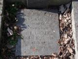 image of grave number 945901